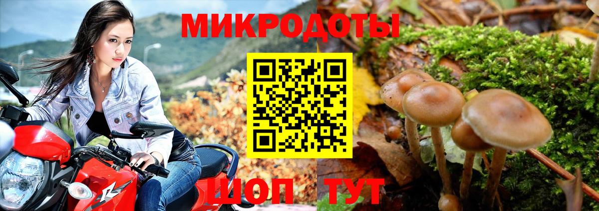Омск  Галлюциногенные грибы Cubensis  Вход с VPN 